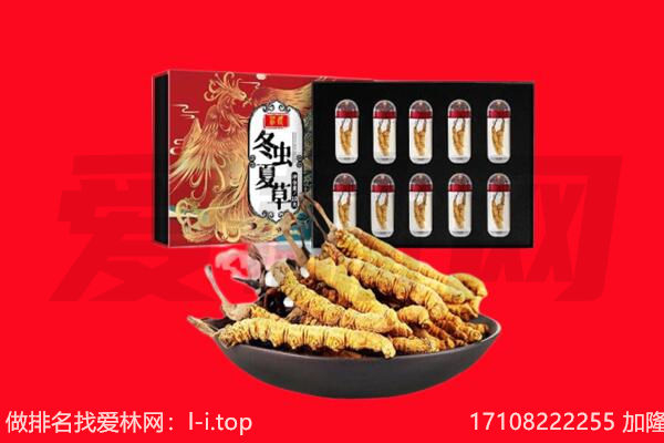 岭东区回收虫草.jpg